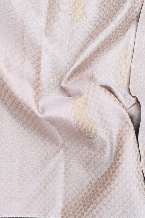 Kanchipuram Silk Saree In Pale Brown With Jacquard Pattern
