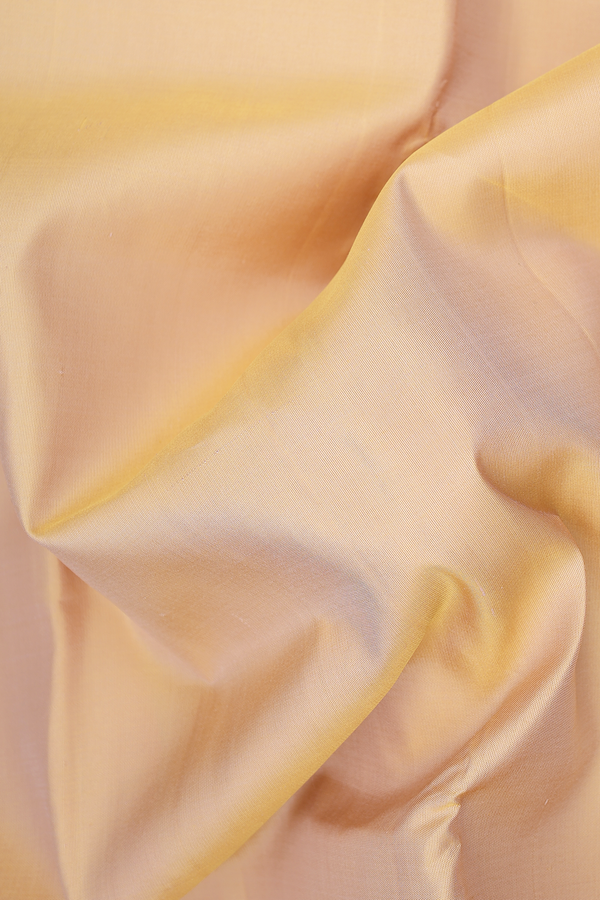 Kanchipuram Silk Saree Pastel Brown With Traditional Border