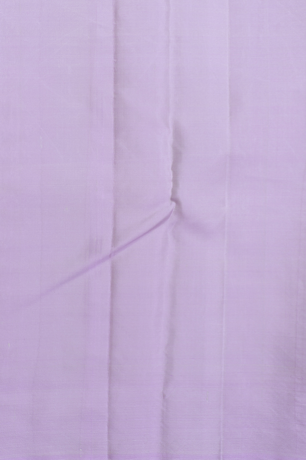 Kanchipuram Silk Saree In Pastel Green With Jacquard Pattern