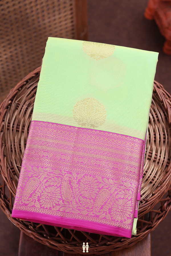 Kanchipuram Silk Saree In Pastel Green With Zari Buttas