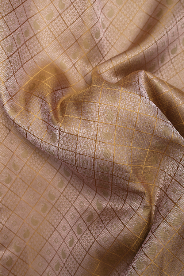Kanchipuram Silk Saree In Peanut Brown With Brocade Design