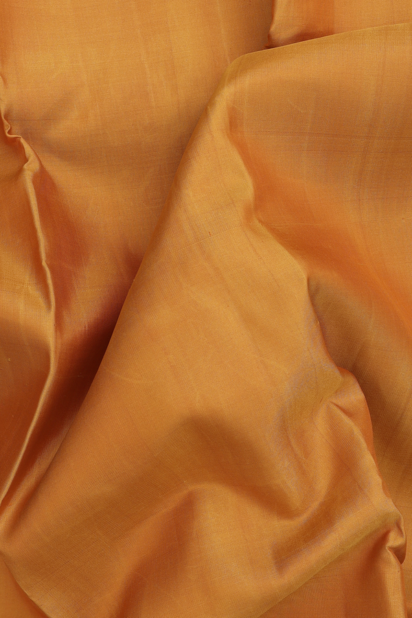 Kanchipuram Silk Saree In Plain Ochre Orange With Zari Border