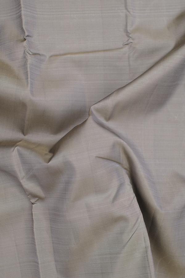 Kanchipuram Silk Saree In Plain Sage Green With Korvai Border