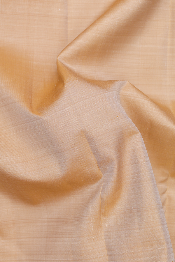 Kanchipuram Silk Saree In Plain Tan With Korvai Border