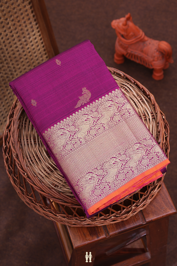 Kanchipuram Silk Saree In Plum Purple With Zari Buttas