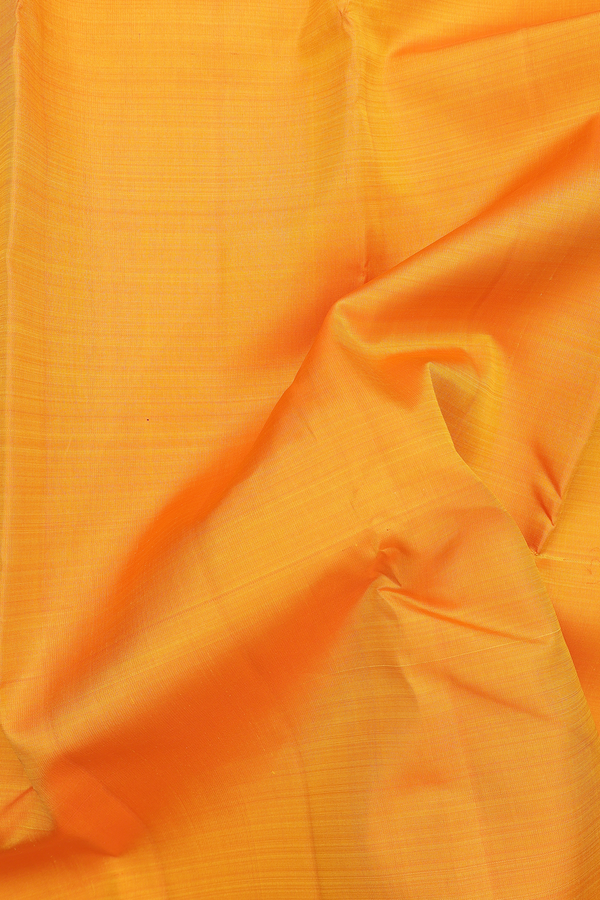 Kanchipuram Silk Saree In Royal Orange With Paisley Border
