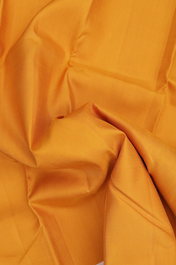 Kanchipuram Silk Saree In Ochre Orange With Contrast Border