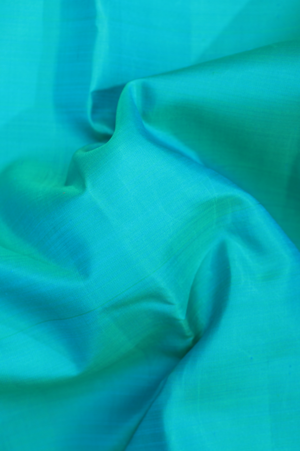 Kanchipuram Silk Saree In Sea Green With Seepu Rekku Border