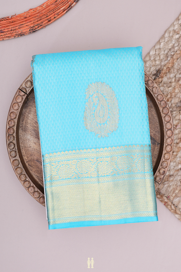 Kanchipuram Silk Saree In Sky Blue With Jacquard Pattern