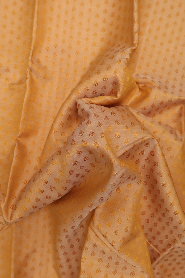 Kanchipuram Silk Saree In Tan With Jacquard Pattern