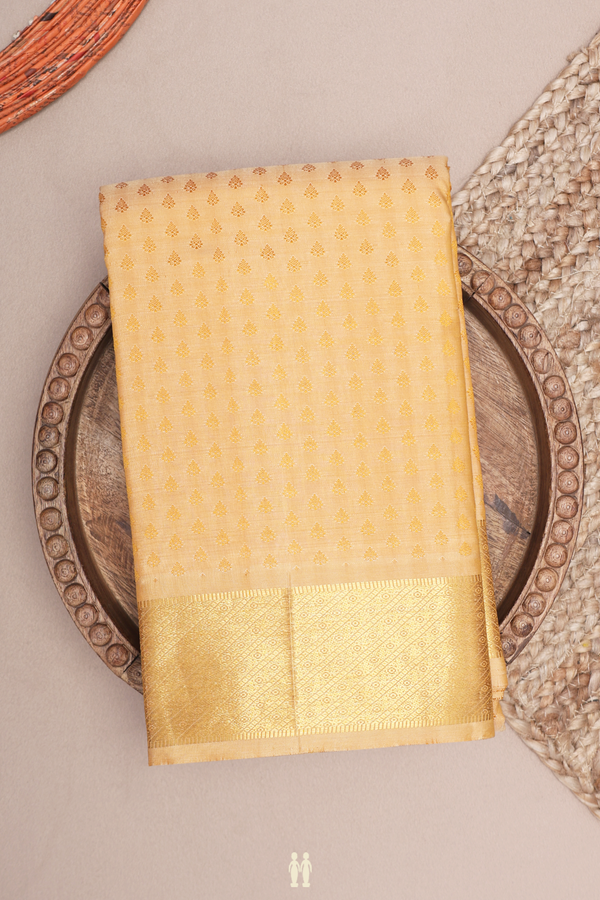 Kanchipuram Silk Saree In Tan With Jacquard Pattern