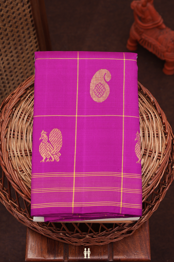 Kanchipuram Silk Saree In White With Contrast Border