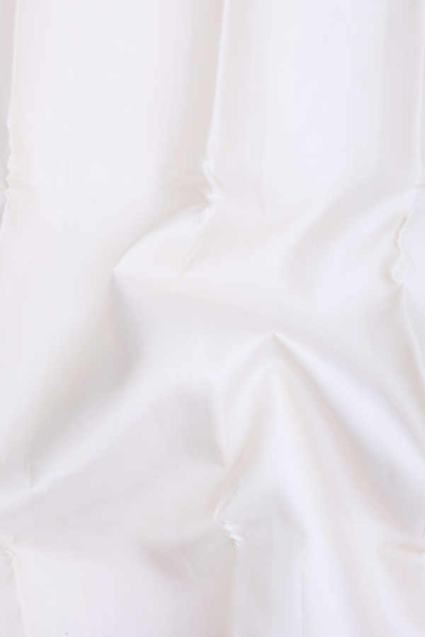 Kanchipuram Silk Saree In White With Contrast Border