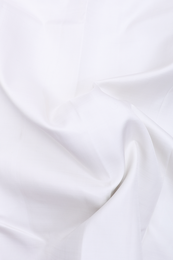 Kanchipuram Silk Saree In White With Ganga Jamuna Border