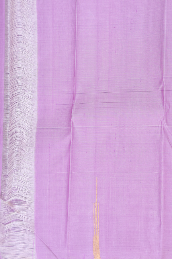 Kanchipuram Silk Saree In White With Malli Moggu Buttas