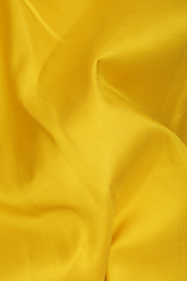 Kanchipuram Silk Saree In Yellow With Korvai Border