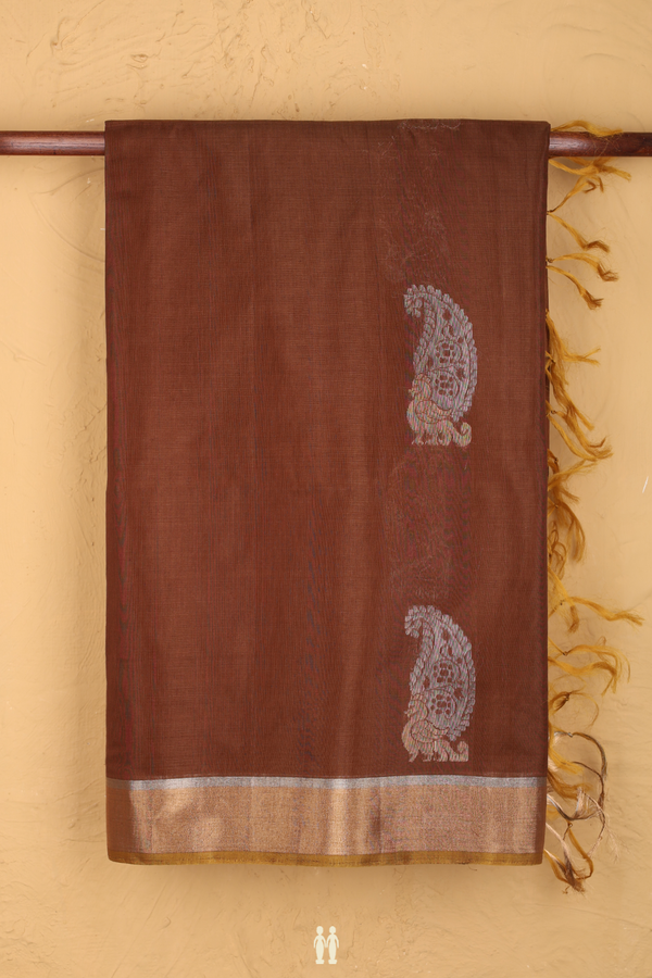 Kora Silk Cotton Saree In Brown With Peacock Motifs