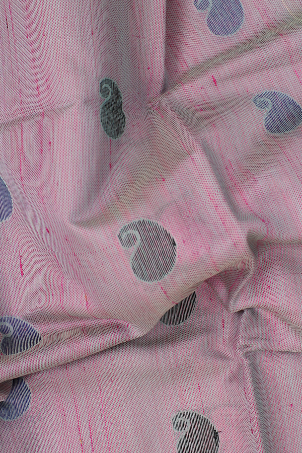 Kora Silk Cotton Saree In Dual Tone With Paisley Buttas