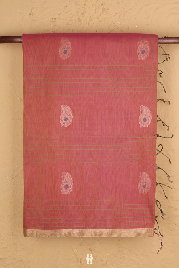 Kora Silk Cotton Saree In Dual Tone With Stripes Design