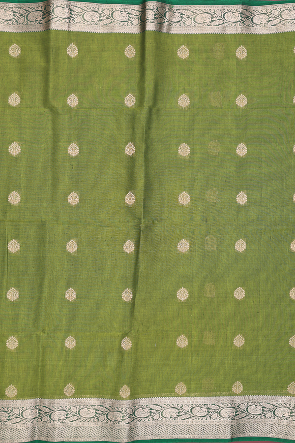 Kora Silk Cotton Saree In Olive Green With Zari Buttas