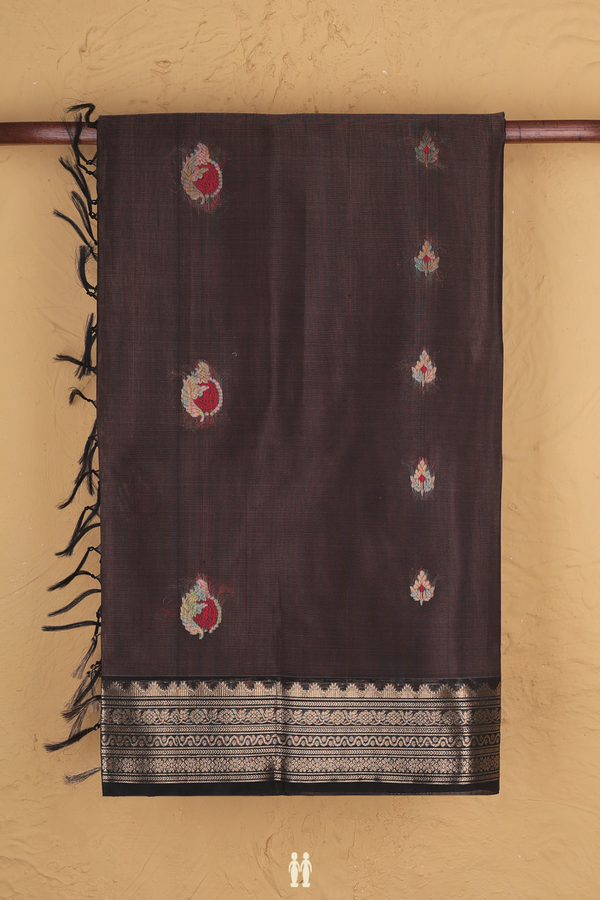 Kora Silk Cotton Saree In Oxford Brown With Zari Buttas