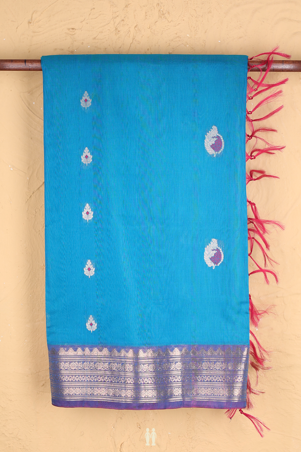 Kora Silk Cotton Saree In Peacock Blue With Zari Buttas