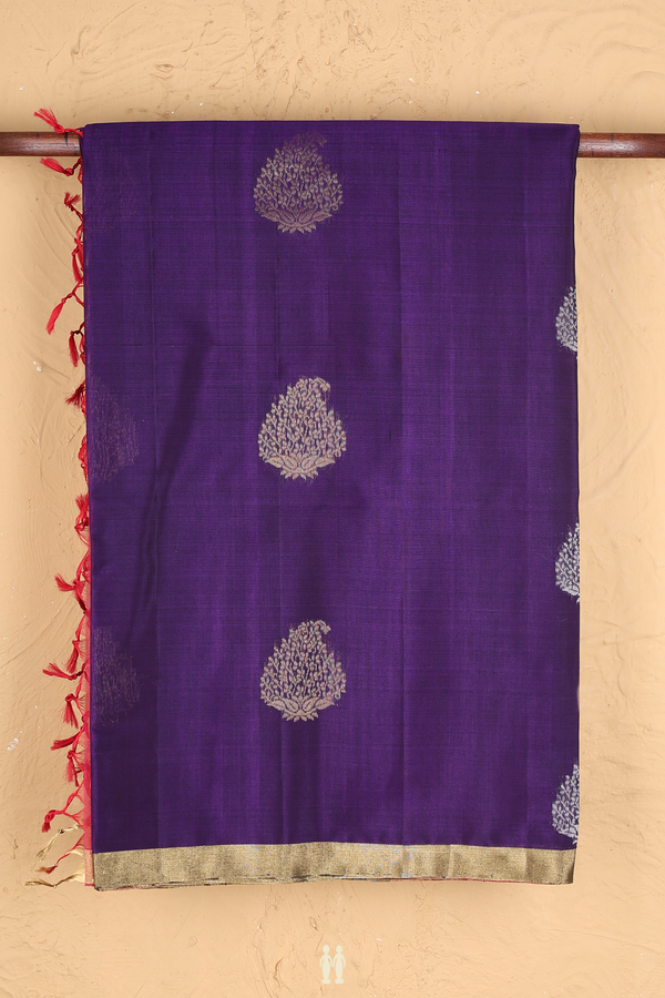 Kora Silk Cotton Saree In Purple With Paisley Motifs