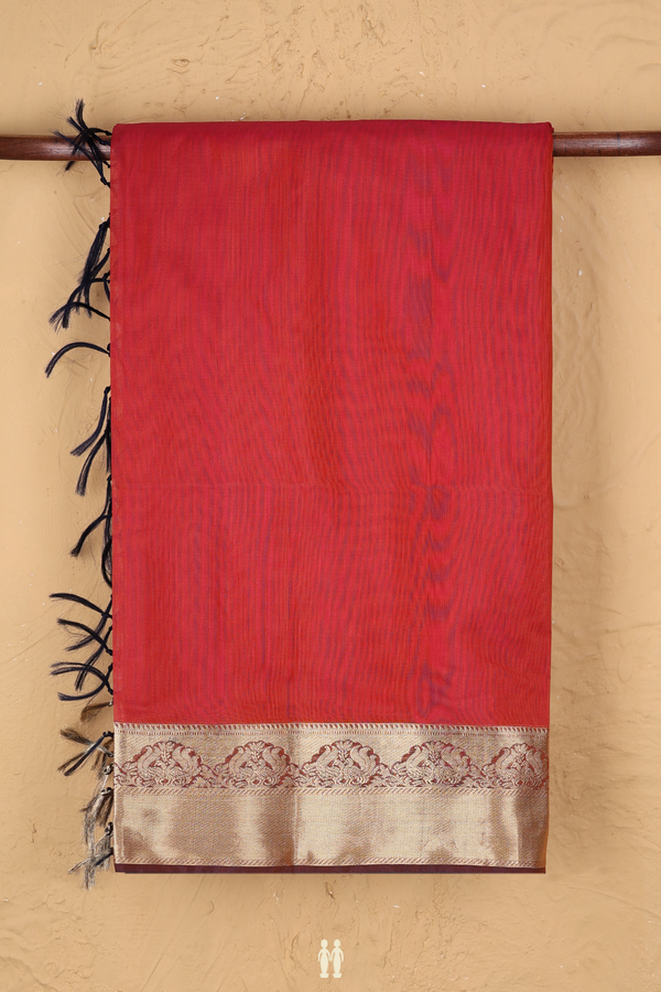 Kora Silk Cotton Saree In Dual Tone With Peacock Border