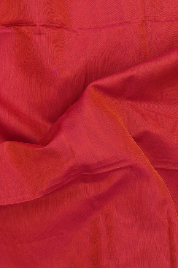 Kora Silk Cotton Saree In Dual Tone With Peacock Border