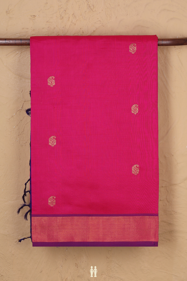 Semi Silk Cotton Saree In Pink With Paisley Buttas