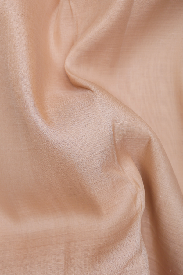 Linen Kanchipuram Silk Saree In Plain Tan With Korvai Border