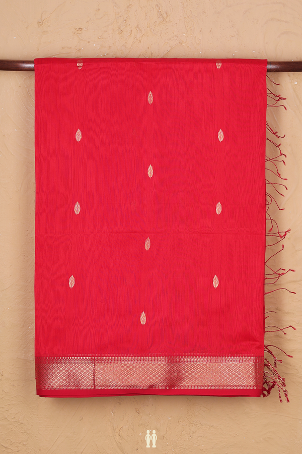 Maheswari Silk Cotton Saree In Chilli Red With Zari Buttas