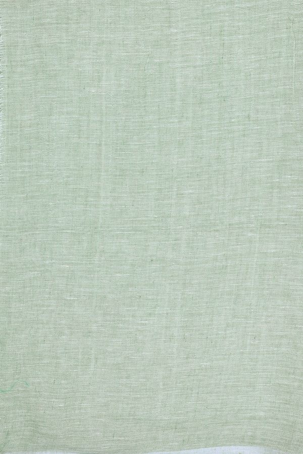 Linen Saree In Light Green Along Stripes With Buttas