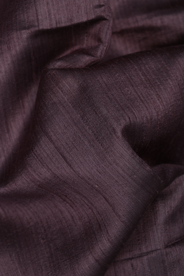Tussar Silk Saree In Greyish Purple With Zari Border