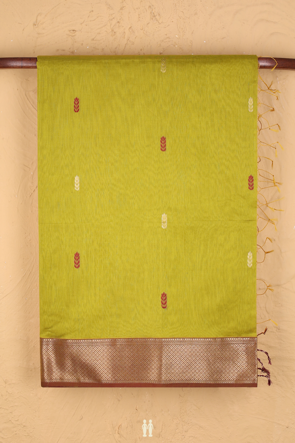 Maheswari Silk Cotton Saree Olive Yellow With Allover Buttas