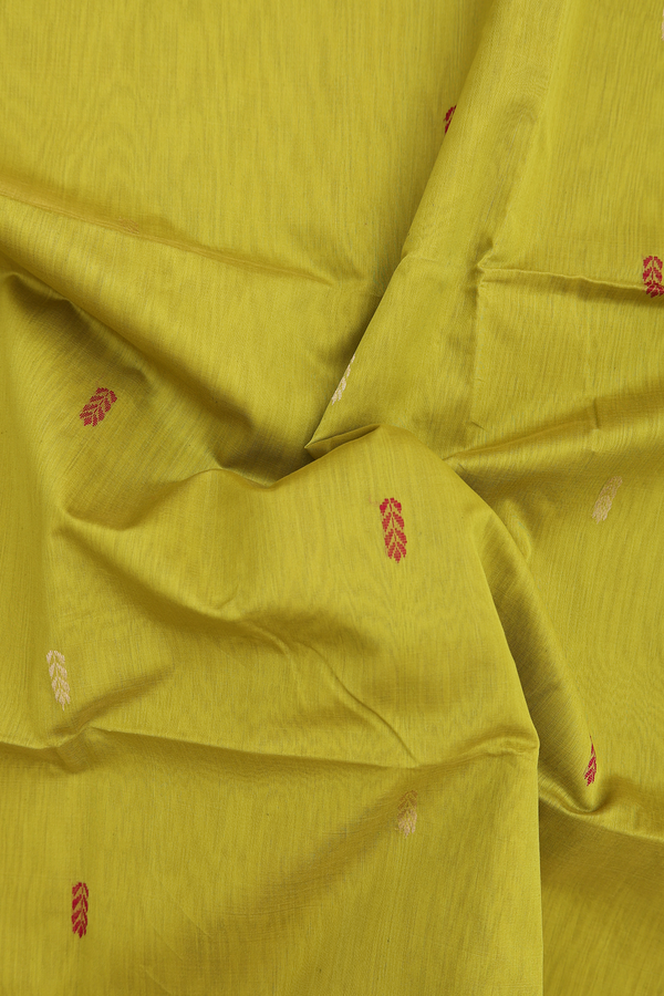 Maheswari Silk Cotton Saree Olive Yellow With Allover Buttas