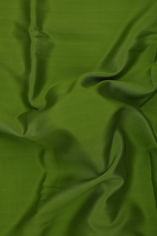 Mysore Silk Saree In Plain Green With Paisley Border