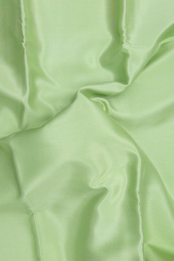 Mysore Silk Saree In Pale Green With Contrast Border