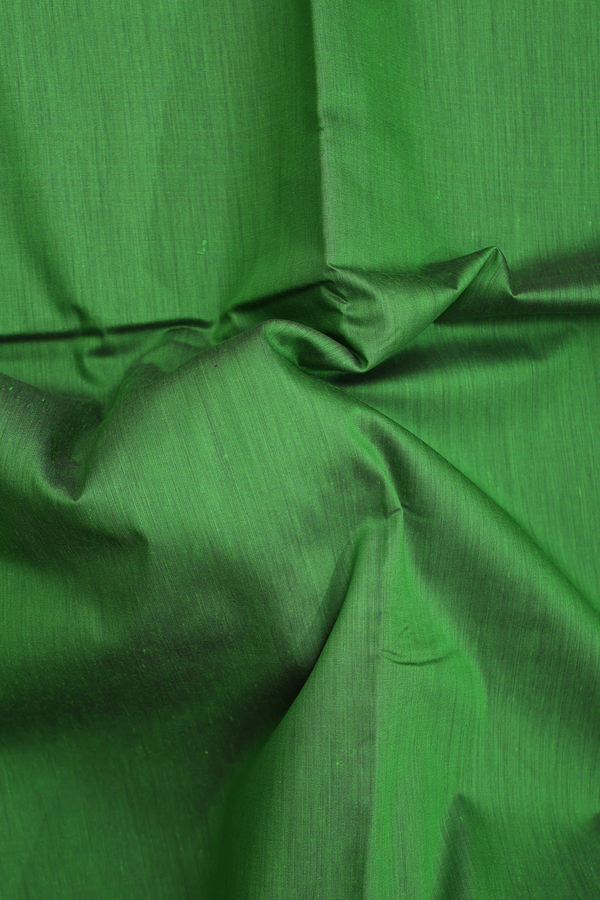Nine Yards Apoorva Cotton In Green With Contrast Border