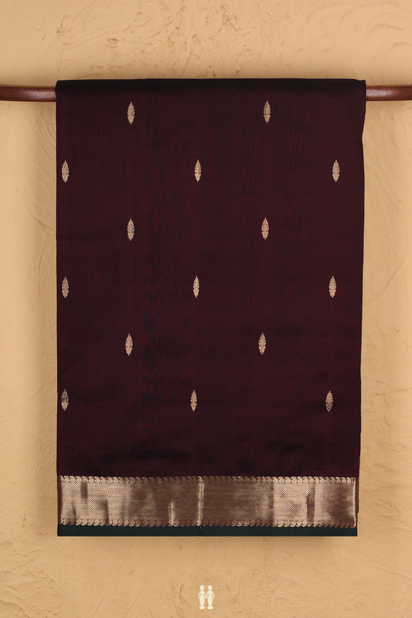 Nine Yards Silk Cotton Saree In Coffee Brown With Zari Buttas