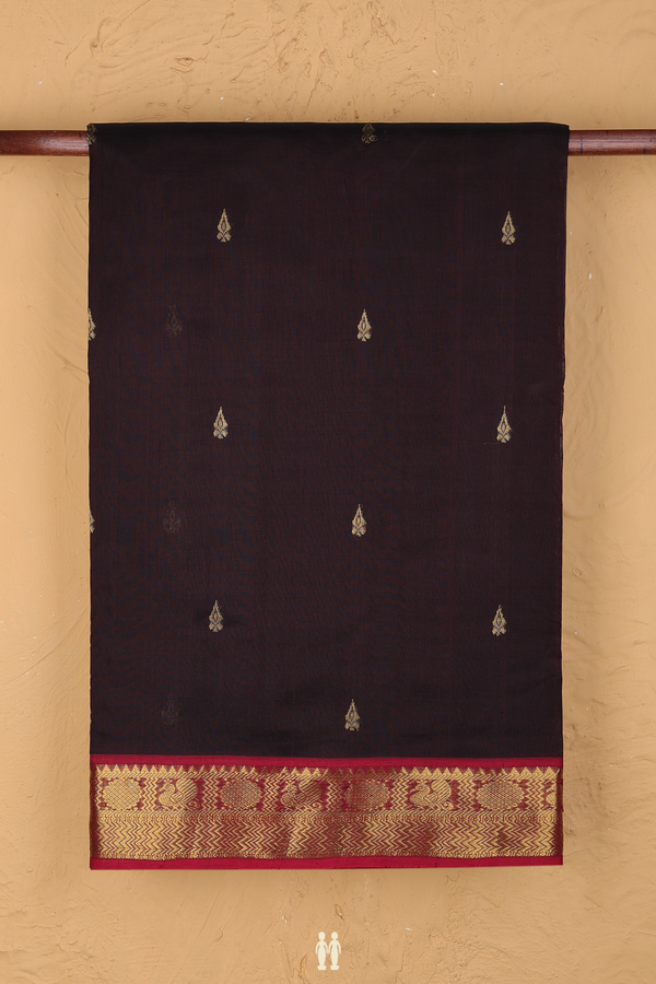 Nine Yards Silk Cotton Saree Dark Oak Brown With Zari Buttas