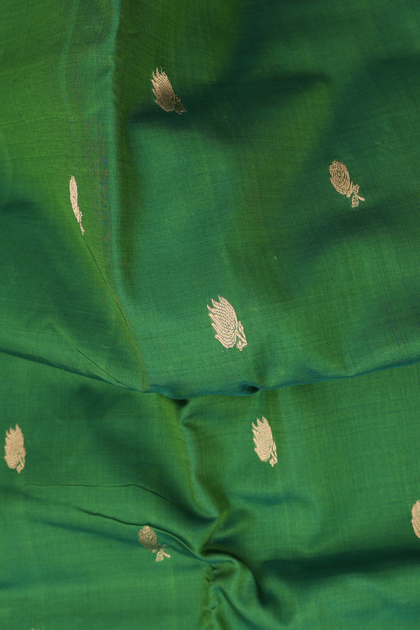 Nine Yards Silk Cotton Saree Fern Green With Floral Buttas