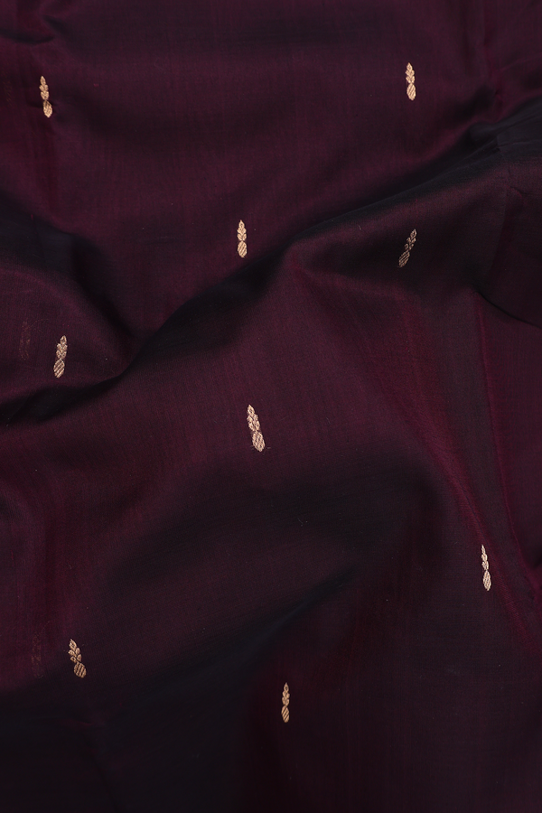 Nine Yards Silk Cotton Saree In Coffee Brown With Zari Buttas
