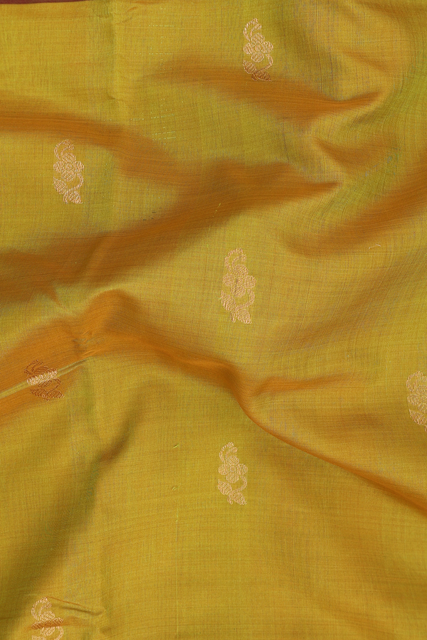 Nine Yards Silk Cotton Saree In Dual Tone With Floral Buttas
