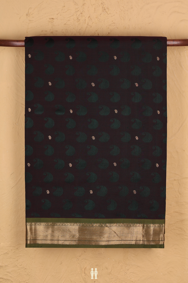 Nine Yards Silk Cotton Saree In Dual Tone With Paisley Buttas