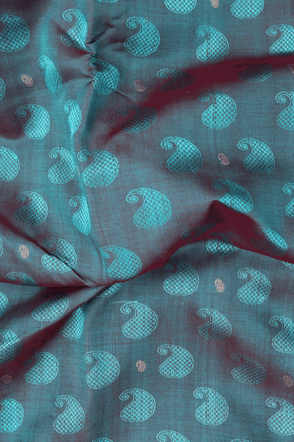 Nine Yards Silk Cotton Saree In Dual Tone With Paisley Design