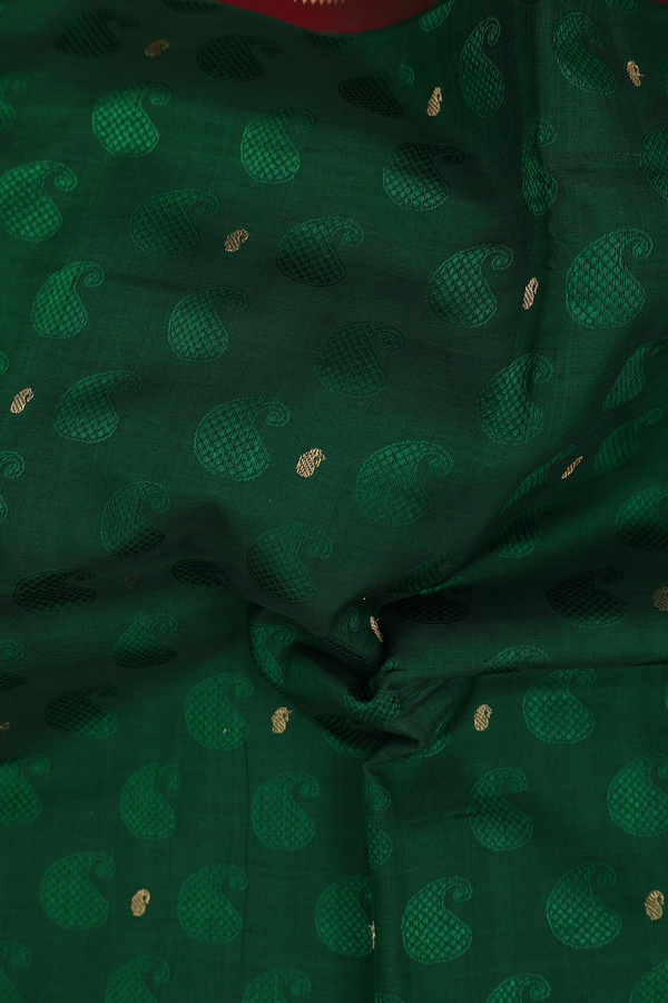 Nine Yards Silk Cotton Saree In Green With Paisley Design