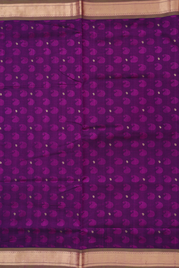 Nine Yards Silk Cotton Saree In Purple With Paisley Design
