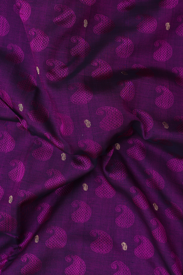 Nine Yards Silk Cotton Saree In Purple With Paisley Design