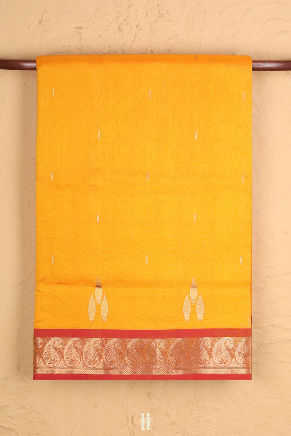 Nine Yards Silk Cotton Saree In Royal Orange With Zari Buttis